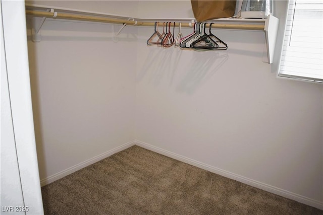 12186 Scarlet Ember Rd Unit 3, Las Vegas, NV 89183 - walk in closet with carpet floors