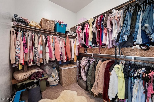 8440 Footpath St, Las Vegas, NV 89166 - spacious closet featuring carpet flooring
