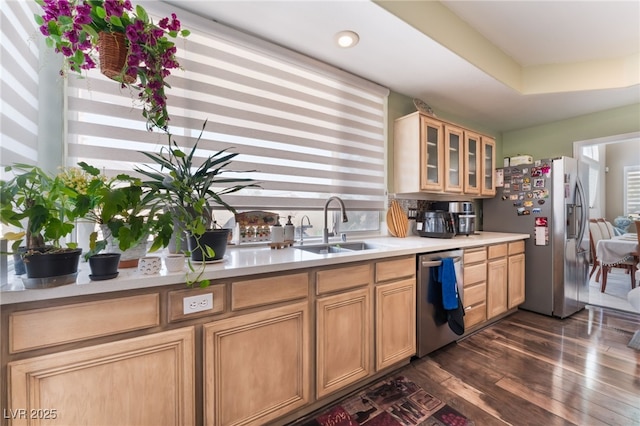 9000 Cotton Rose Way, Las Vegas, NV 89134 - kitchen with glass insert cabinets, light countertops, dark wood-type flooring, stainless steel appliances, and a sink