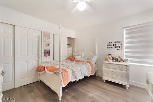 9000 Cotton Rose Way, Las Vegas, NV 89134 - bedroom featuring wood finished floors, ceiling fan, and multiple closets