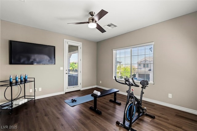 257 Elder View Dr, Las Vegas, NV 89138 - exercise room with healthy amount of natural light, wood finished floors, and a ceiling fan