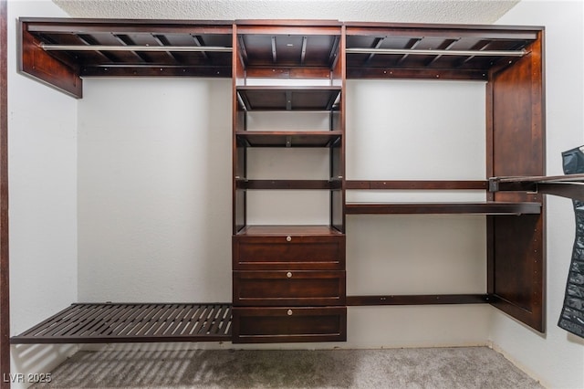 5312 Manuel Dr, Las Vegas, NV 89149 - spacious closet with carpet floors