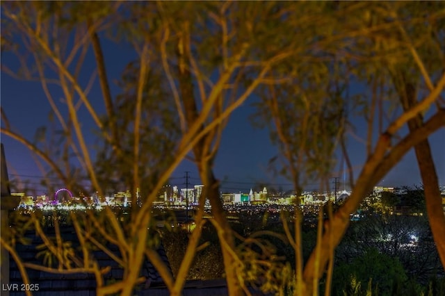 11573 Glowing Sunset Ln, Las Vegas, NV 89135 - exterior space