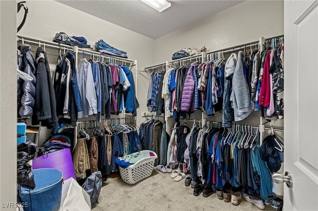 2244 Manosque Ln, Henderson, NV 89044 - spacious closet featuring carpet flooring