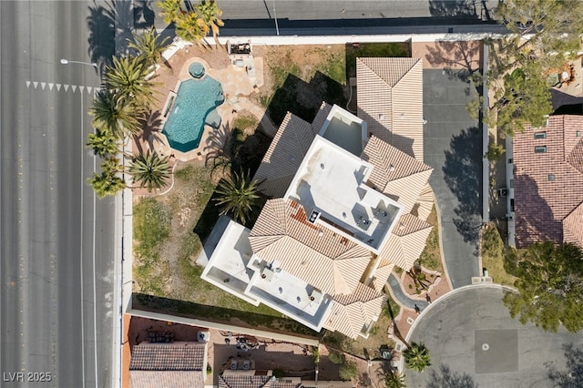 bird's eye view