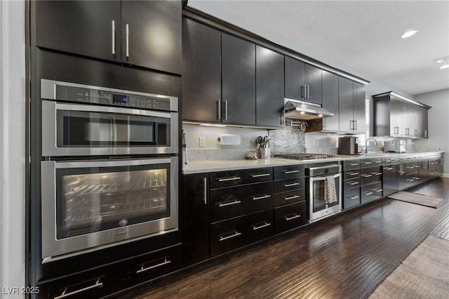 12665 Cooks Bay Ct, Las Vegas, NV 89141 - kitchen with a sink, dark wood-style flooring, dark cabinets, under cabinet range hood, and stainless steel appliances