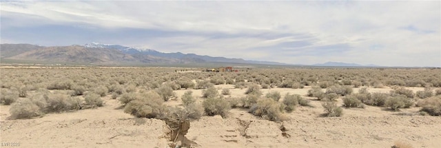 3771 S Kid Ave, Pahrump, NV 89048