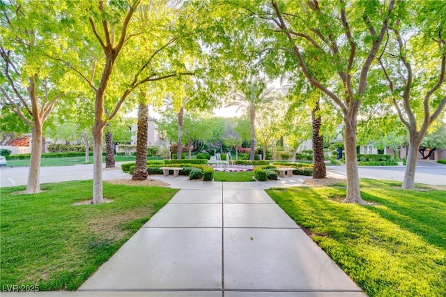 surrounding community featuring a lawn