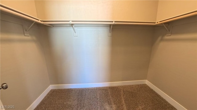 spacious closet with carpet floors