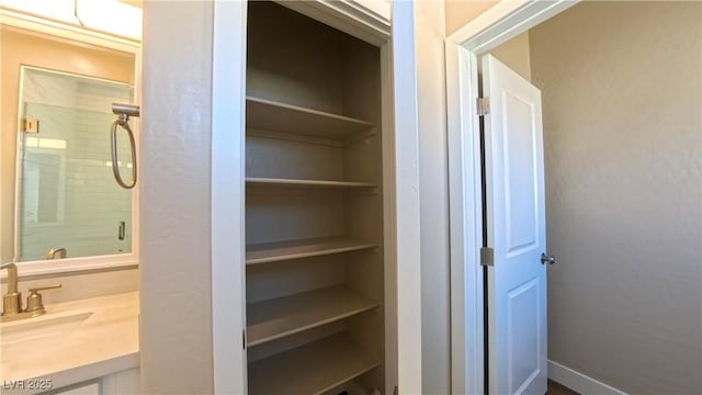 closet with a sink