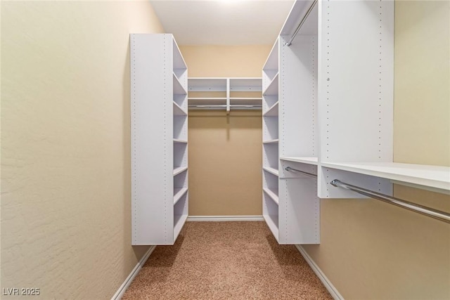 spacious closet with carpet