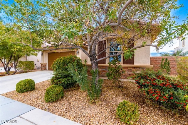view of property hidden behind natural elements featuring driveway, stucco siding, stone siding, and an attached garage