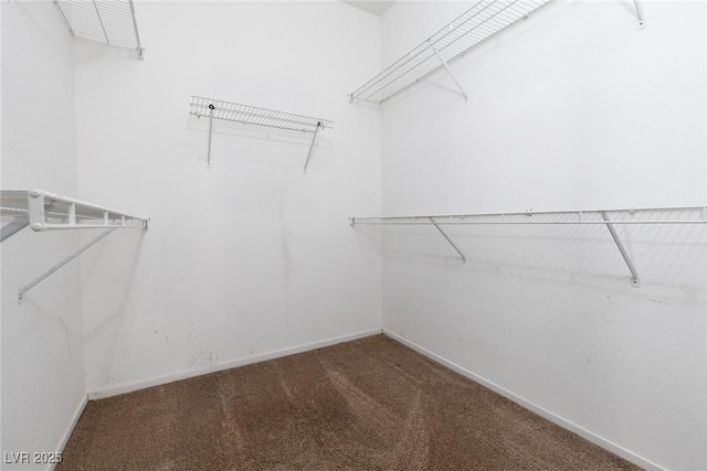 1709 Pacific Panorama Pl, Las Vegas, NV 89144 - walk in closet featuring carpet