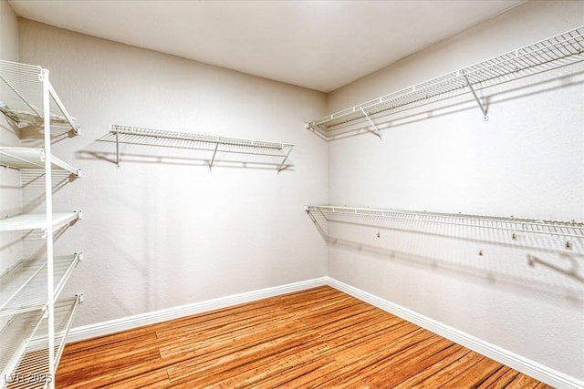 walk in closet featuring wood finished floors
