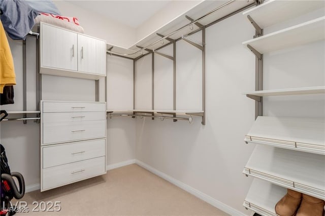 spacious closet featuring light carpet