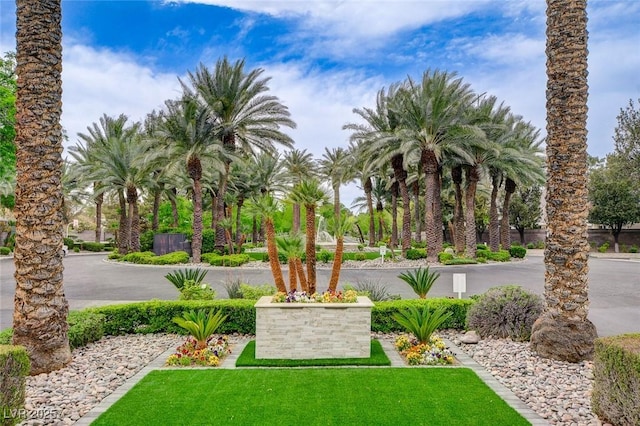 view of community featuring a yard