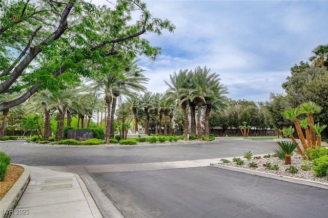 2338 Dolphin Ct, Henderson, NV 89074 - view of asphalt street featuring curbs
