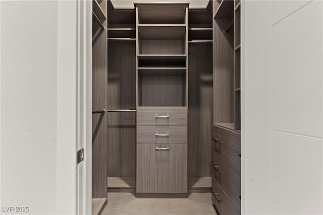 view of spacious closet