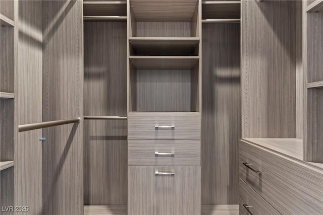 view of spacious closet