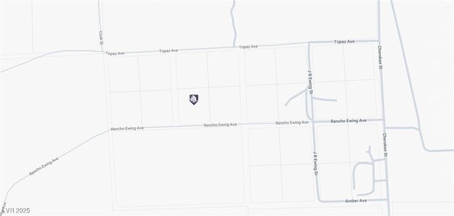 Rancho Ewing Ave, Sandy Valley, NV 89019 - photo 10