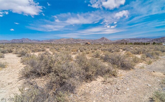 Rancho Ewing Ave, Sandy Valley, NV 89019 - photo 3