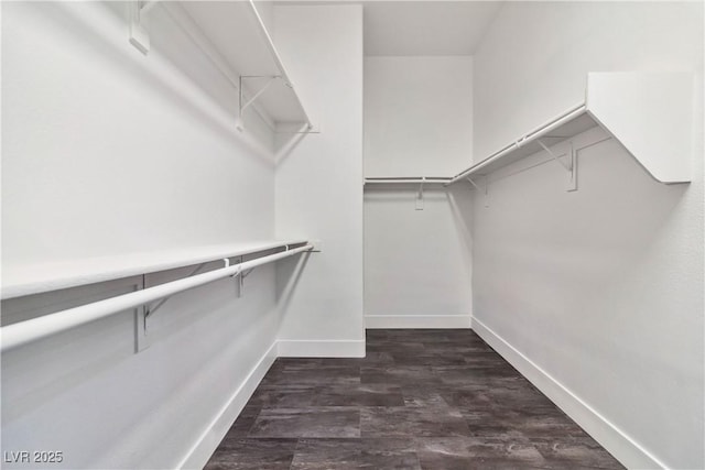 1185 Via Casa Palermo, Henderson, NV 89011 - view of walk in closet