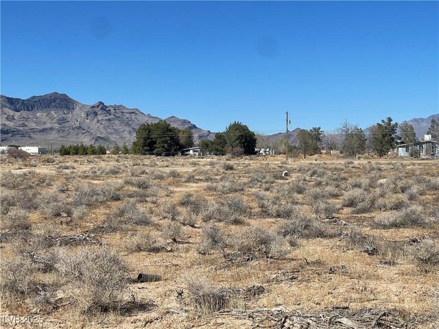 2160 W Mesquite Ave, Pahrump, NV 89060 - photo 10