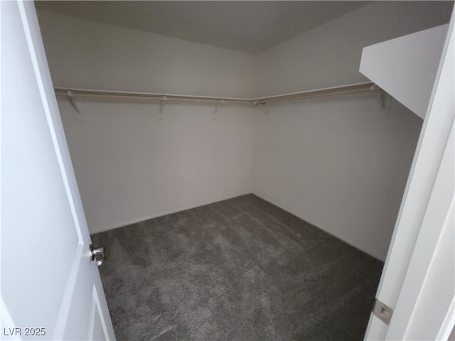 walk in closet featuring dark colored carpet