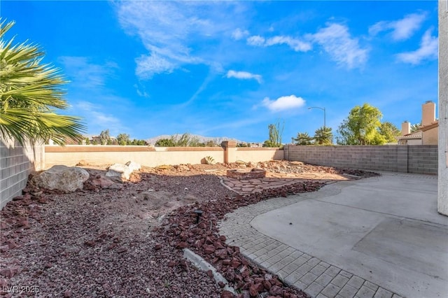 view of yard featuring a patio and a fenced backyard