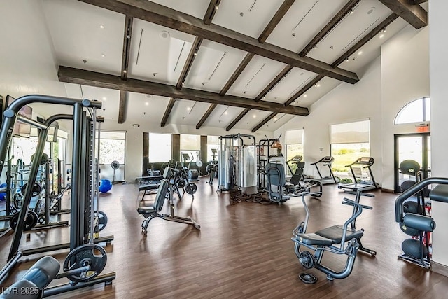 109 Reverie Heights Ave, Henderson, NV 89011 - exercise room with high vaulted ceiling, plenty of natural light, beam ceiling, wood finished floors, and recessed lighting