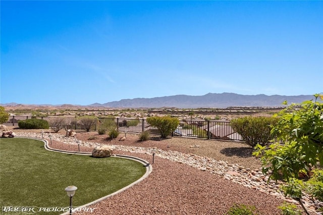 1348 Basin Vw, Mesquite, NV 89034 - view of yard featuring a mountain view