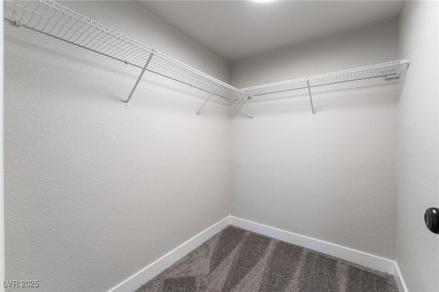 walk in closet featuring dark carpet