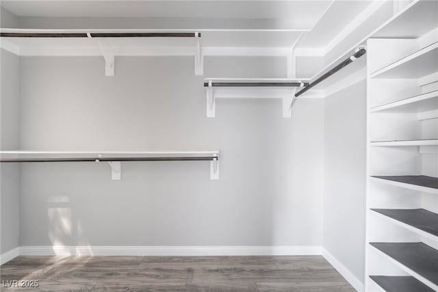 walk in closet with wood finished floors