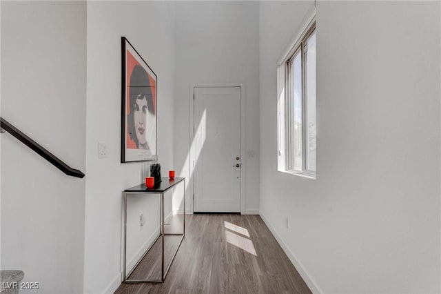 entrance foyer with a wealth of natural light, baseboards, and wood finished floors