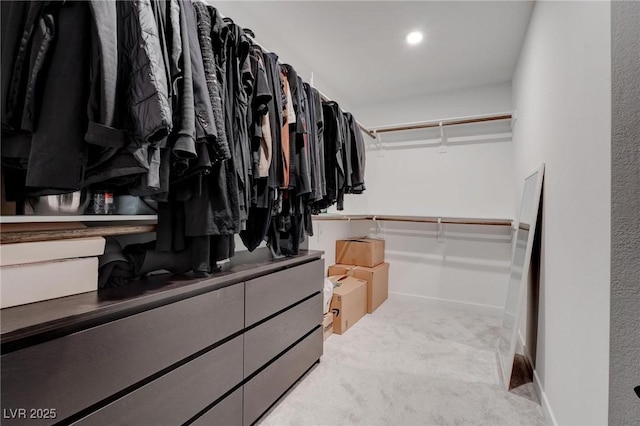 spacious closet with carpet