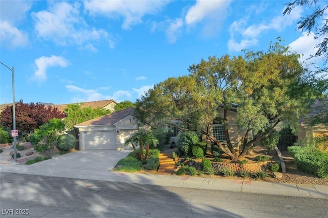 1805 Prichard Ave, Henderson, NV 89052 - view of property hidden behind natural elements with driveway and a garage