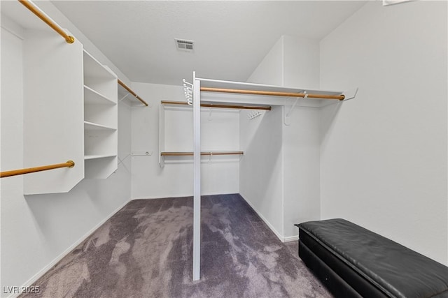3024 Pismo Beach Dr, Las Vegas, NV 89128 - spacious closet with carpet flooring