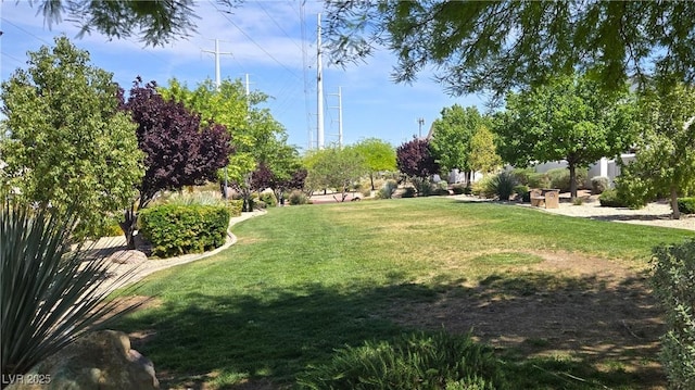 10342 Cherry Brook St, Las Vegas, NV 89183 - view of home's community featuring a yard
