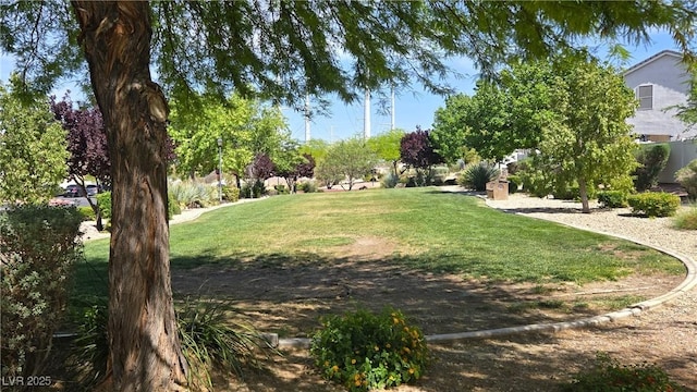 10342 Cherry Brook St, Las Vegas, NV 89183 - view of property's community featuring a lawn