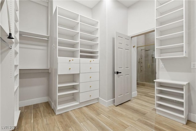 800 Jody Brook Ct, Las Vegas, NV 89145 - walk in closet with light wood-type flooring