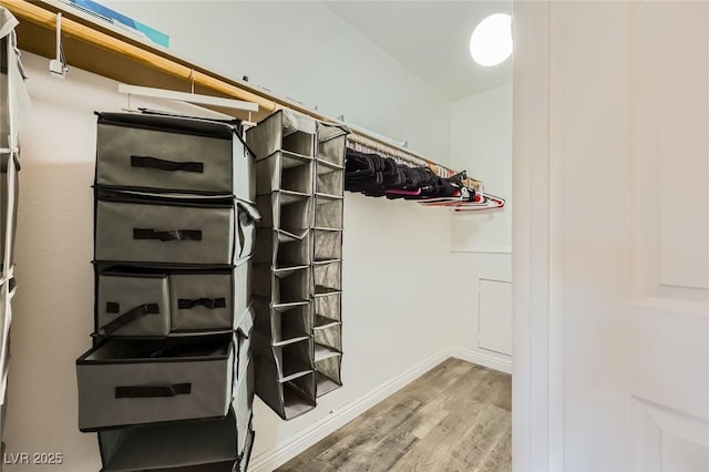 spacious closet featuring wood finished floors
