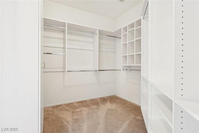 3029 Paseo Hills Way, Henderson, NV 89052 - spacious closet with carpet flooring