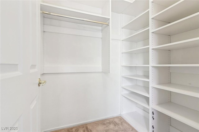 3029 Paseo Hills Way, Henderson, NV 89052 - walk in closet with carpet floors