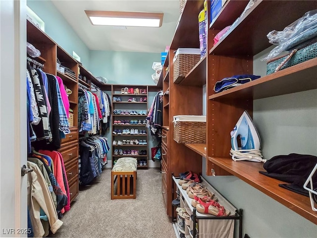 spacious closet with carpet