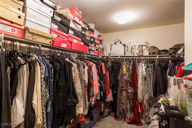 view of spacious closet
