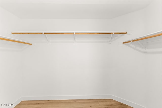 walk in closet featuring light wood finished floors