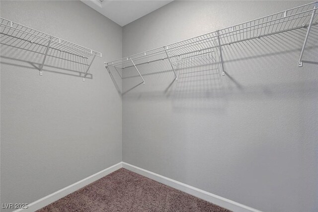 8349 Pollenzo Ave, Las Vegas, NV 89178 - spacious closet with carpet flooring
