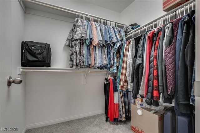 5256 Sherwood Forest Ln, Las Vegas, NV 89122 - walk in closet featuring carpet