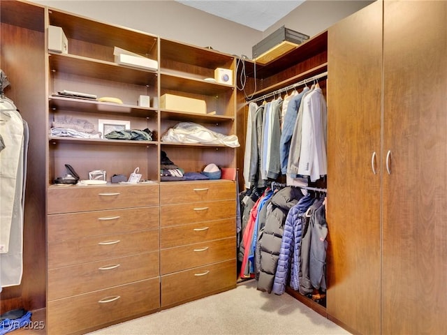 spacious closet with carpet floors