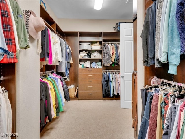 walk in closet with carpet floors